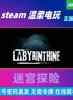 迷宫探险 STEAM正版游戏租号 Labyrinthine 恐怖 在线合作 联机