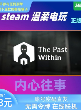 内心往事 steam正版游戏租号 The Past Within 在线联机 双人解迷