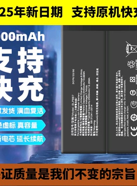 适用真我GT NEO2T电池 GT2大师探索版手机电池BLP887 BLP947电板