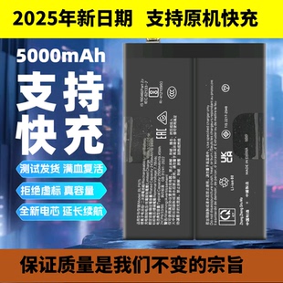 适用OnePlus ace2手机电池一加ACE 2V/2pro电池BLP925 BLP975/A09