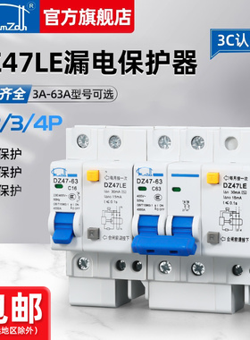 漏电保护器开关2P63A断路器DZ47LE双极空气开关1P2P3P4P家用