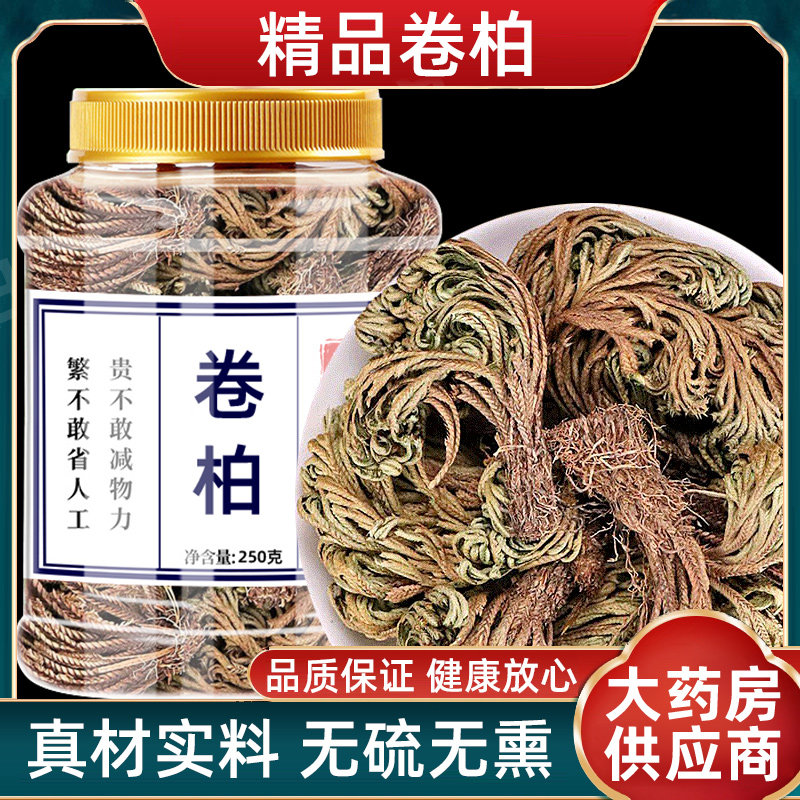 卷柏九死还魂草中药材还阳草不死草小叶卷伯新鲜干货野生正品批发
