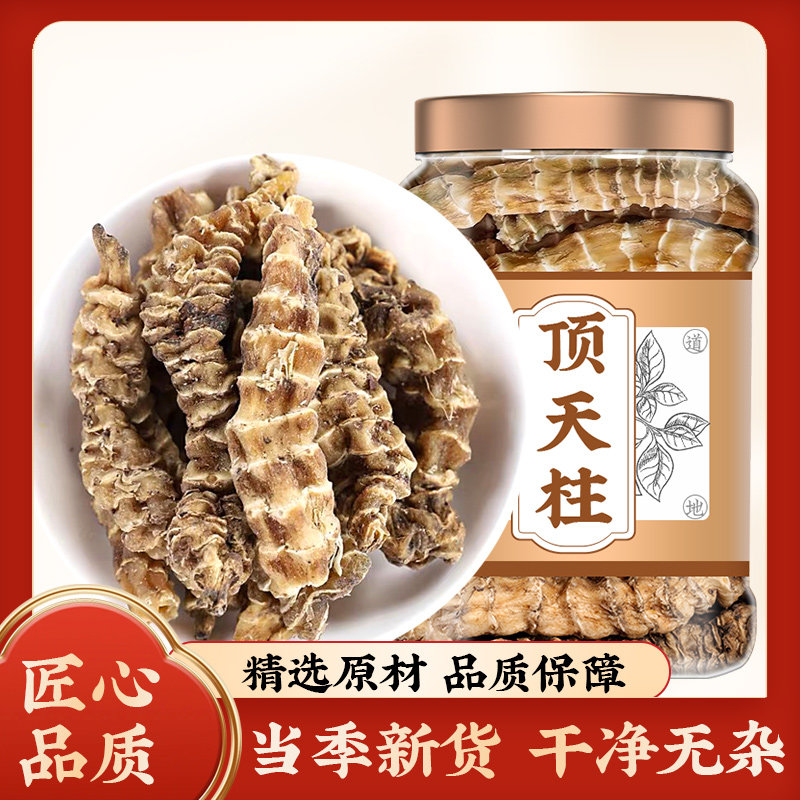 野生顶天柱云南虫草参不老草