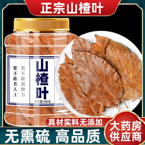 野生山楂叶广西山楂树叶500g