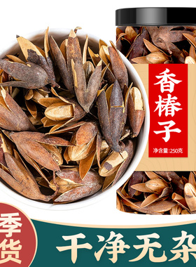 香椿铃中药材食用香椿籽红叶香春树籽子香玲子香椿树籽野生香椿玲