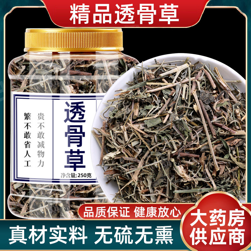 透骨草中药材泡脚新鲜干货无硫500g正品通络祛痛野生透骨草的功效