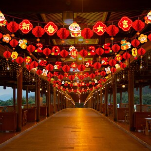 极速2025新年元旦小灯笼教室y装饰拉旗挂件幼儿园班级场景布置蛇
