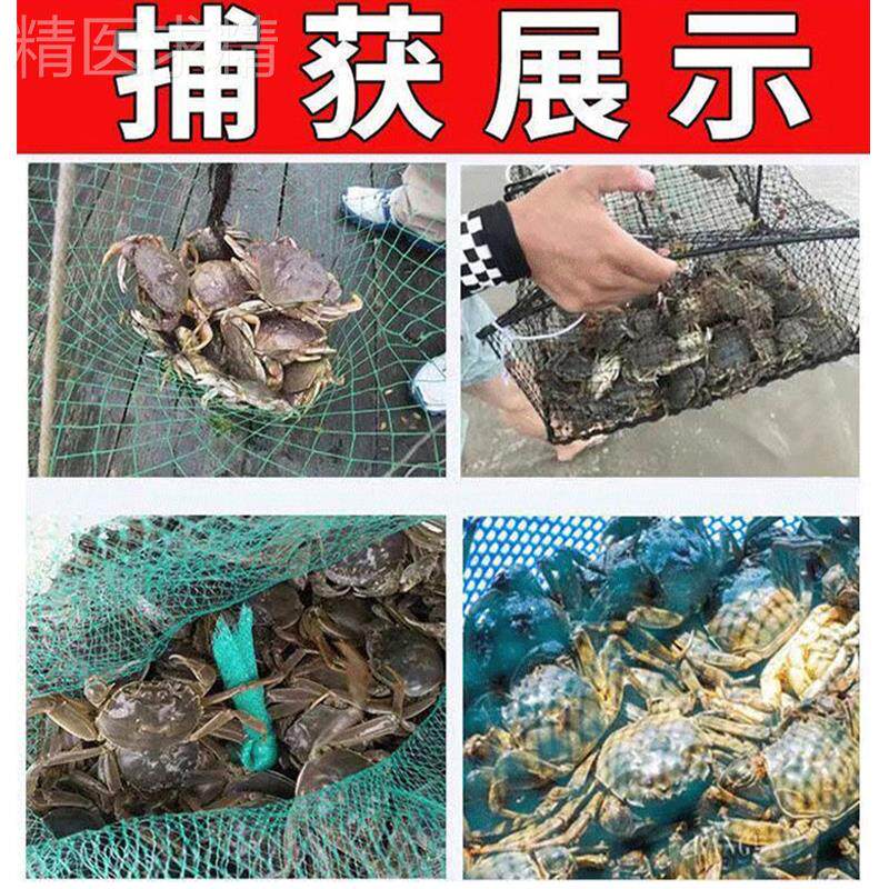极速钓螃蟹神g器诱捕饵料捉螃蟹诱螃蟹青蟹海蟹小药水爆满笼鱼饵
