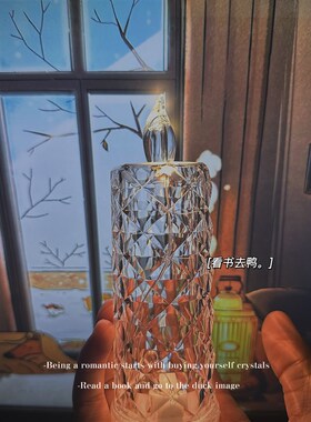 新品玫瑰无原则 n心动至上玫瑰光影透明蜡烛氛围感小夜灯摆件