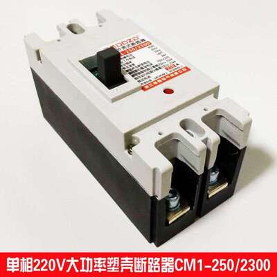 极速塑壳断路器2P空气开关160A200A225A250A安单相2X20V空开总闸