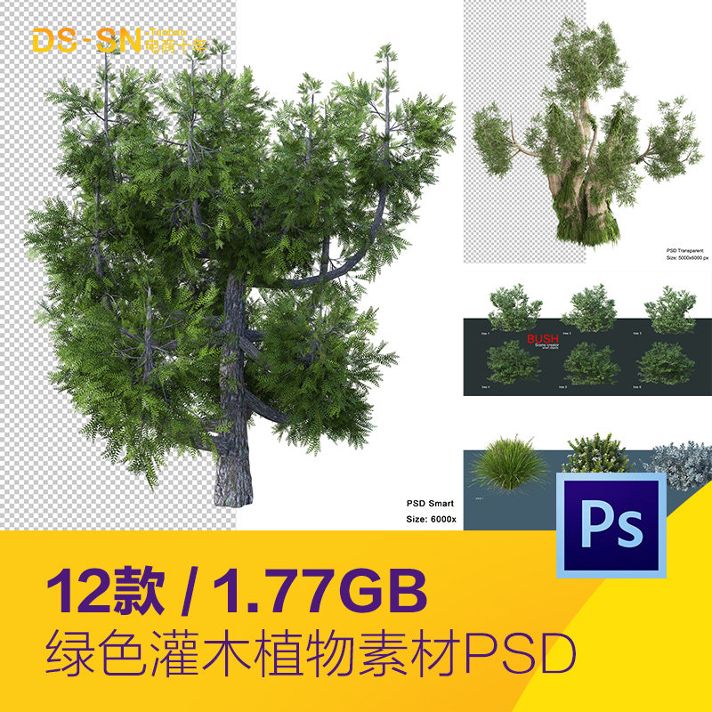 茂盛树木树枝树叶灌木景观植物海报背景psd设计素材模板22101302
