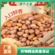 五香黄芪党参烤花生300g甄选原料营养滋补香酥可口下酒即食零食