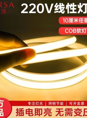帕莎 led灯带220v超亮自粘线形灯家用客厅吊顶氛围灯cob软灯条
