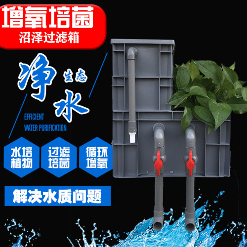 鱼缸过滤箱养鱼循环水水培植物