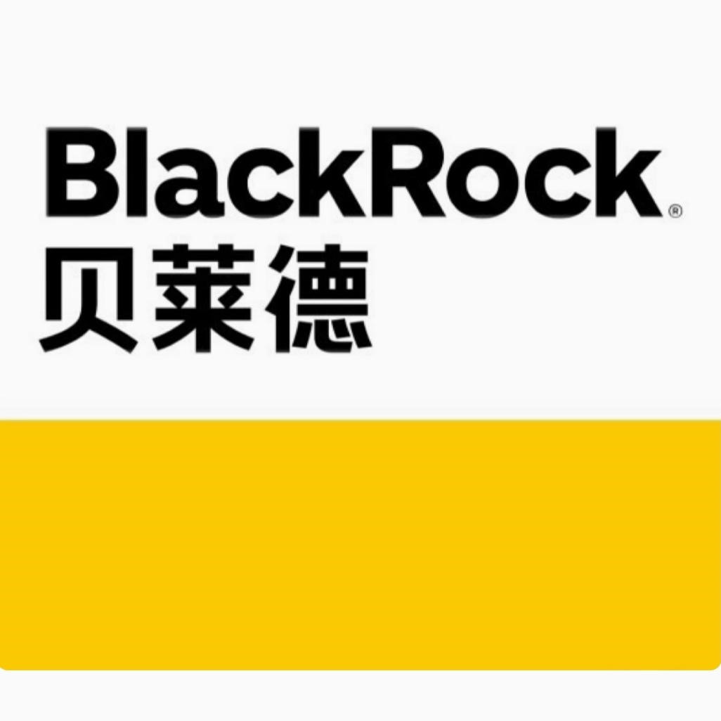 2026BlackRock贝莱德VI测评网测pre interview视频面试VCL测试评