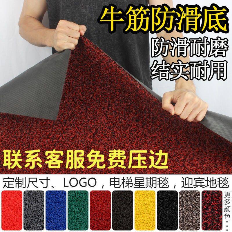 牛筋底塑料丝圈进门地垫