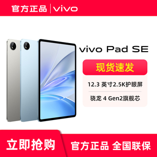 好学好用好护眼12.3 新品 SE平板电脑 Pad 英寸护眼柔光屏孩子学习平板学生开学好物 vivo