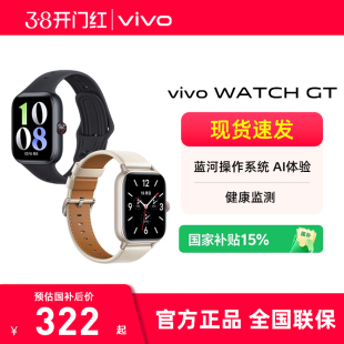 国家补贴 分期免息 WATCH 年货礼品手表蓝牙智能手表智能运动手表手环 vivo