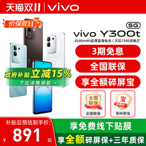 【国家补贴15%】/vivo Y300t 新品5G轻薄6500毫安时大内存手机 vivo官方旗舰店官方正品 vivoY300系列