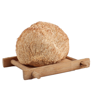 有机猴头菇新鲜干货煲汤菌类东北长白山仿野生营养纯粉原料500g