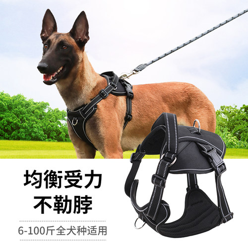 狗狗牵引绳大型犬金毛背带