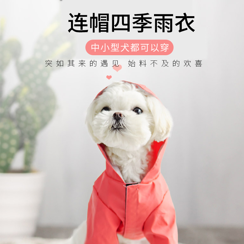 狗狗雨衣小型犬泰迪八哥中型狗