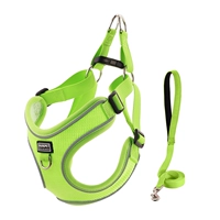 Зеленый комплект