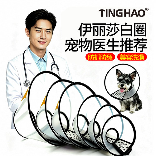 伊丽莎白圈狗猫咪脖套耻辱绝育