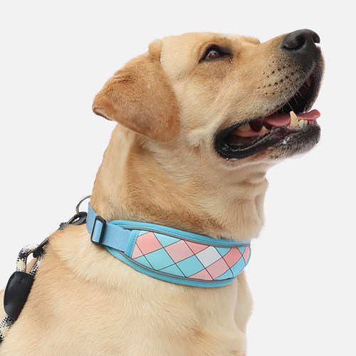 tinghao防爆冲项圈套装2件95折