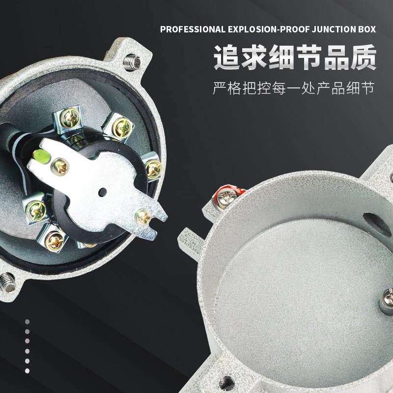 防爆照明开关SW-10防水220V 380V防爆开关墙壁插座10A16A控制按钮