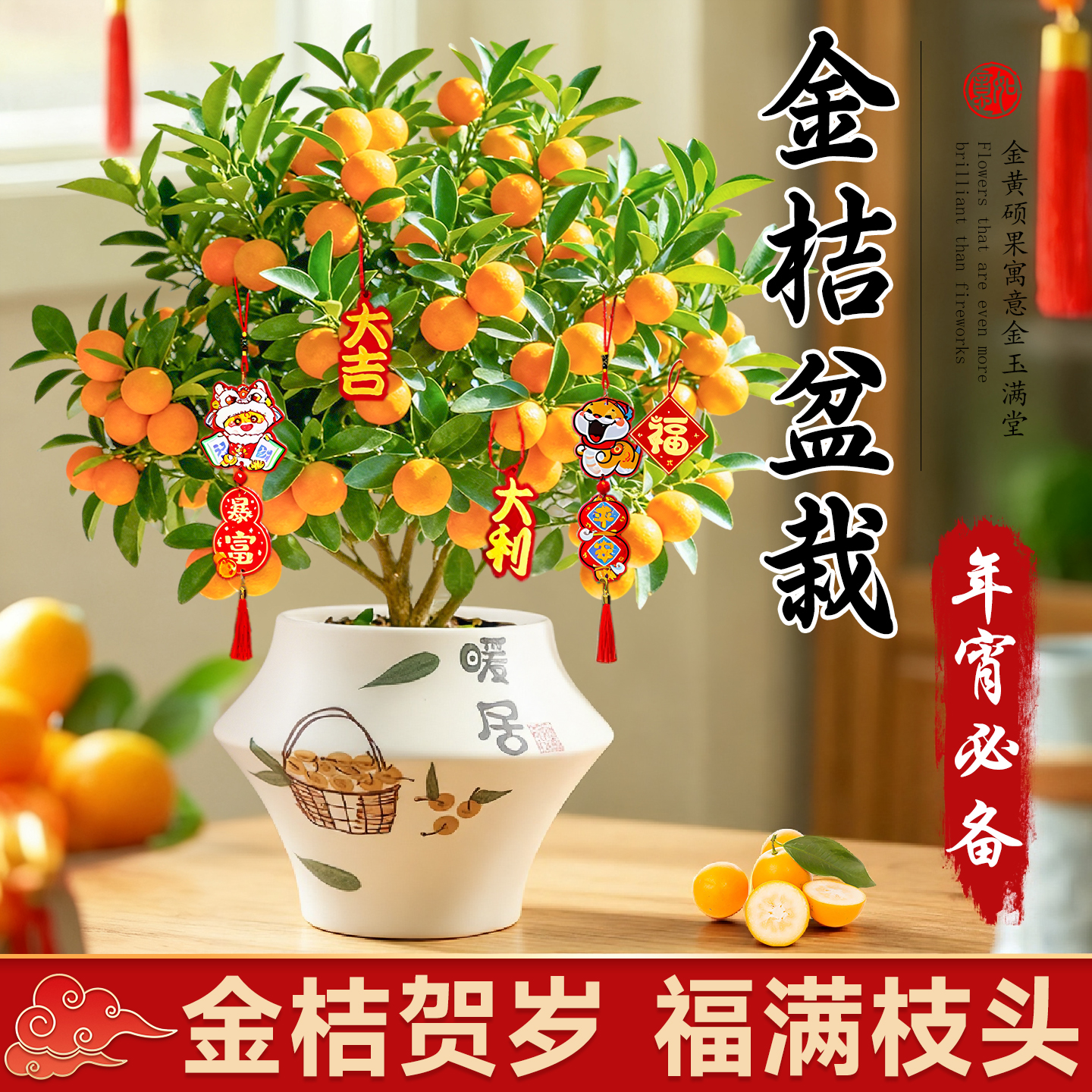 金桔盆栽四季结果可食用带果桔子树苗适合客厅养的年宵花盆景绿植
