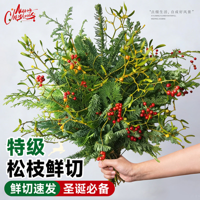 松枝鲜切圣诞花束天竺少女诺贝