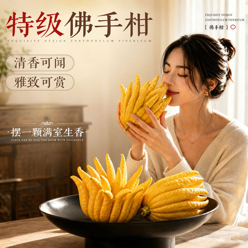 佛手柑鲜果水培摆件闻香食用清贡