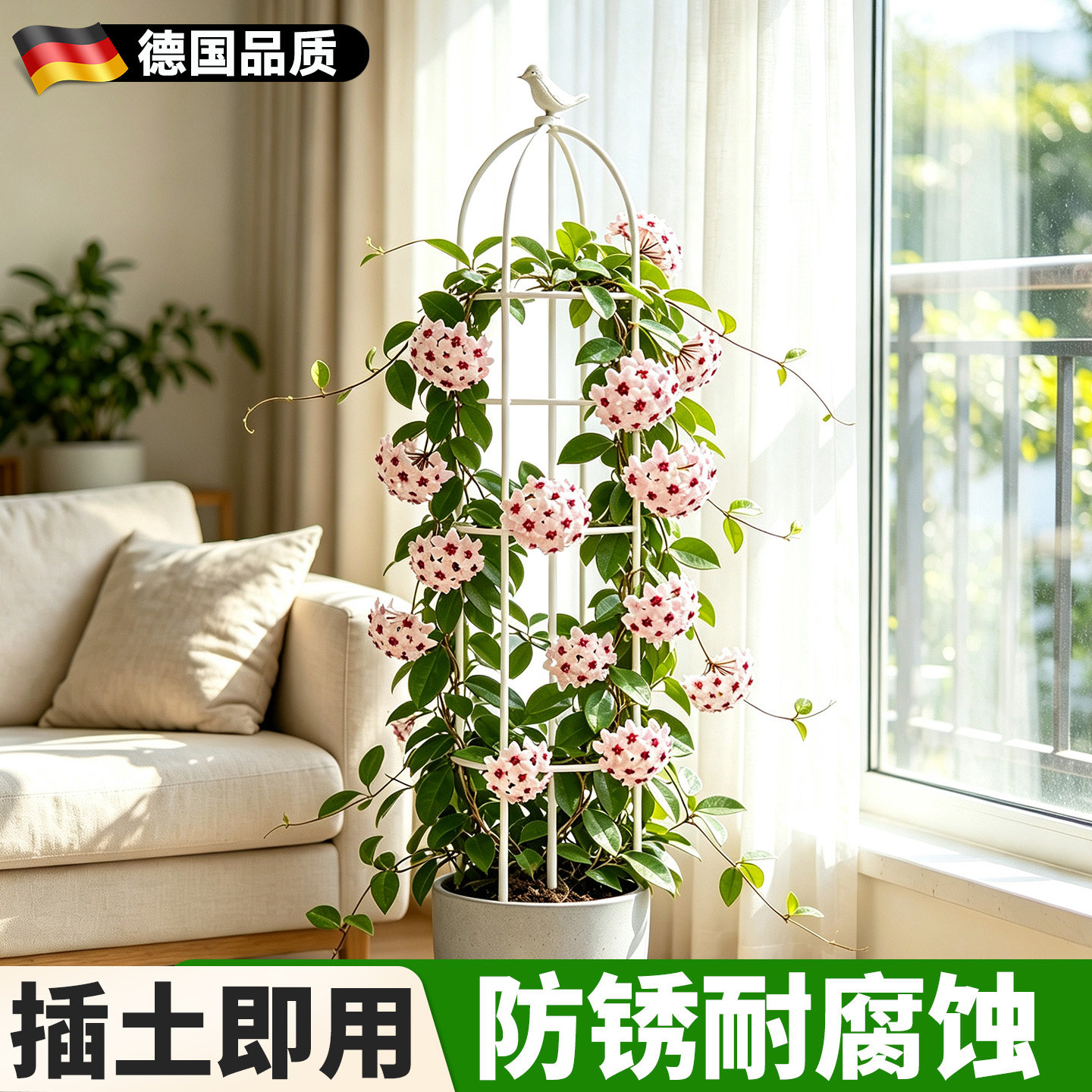 球兰爬藤架盆栽植物固定支架龟图片
