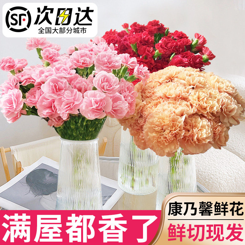 康乃馨鲜花单头康乃馨鲜切花多头