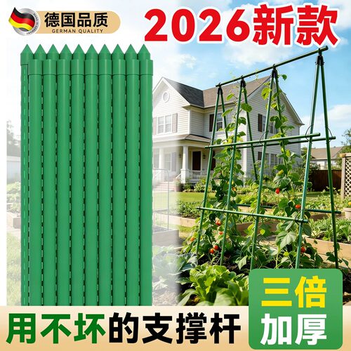 蔬菜植物葡萄种菜支撑爬藤架攀爬
