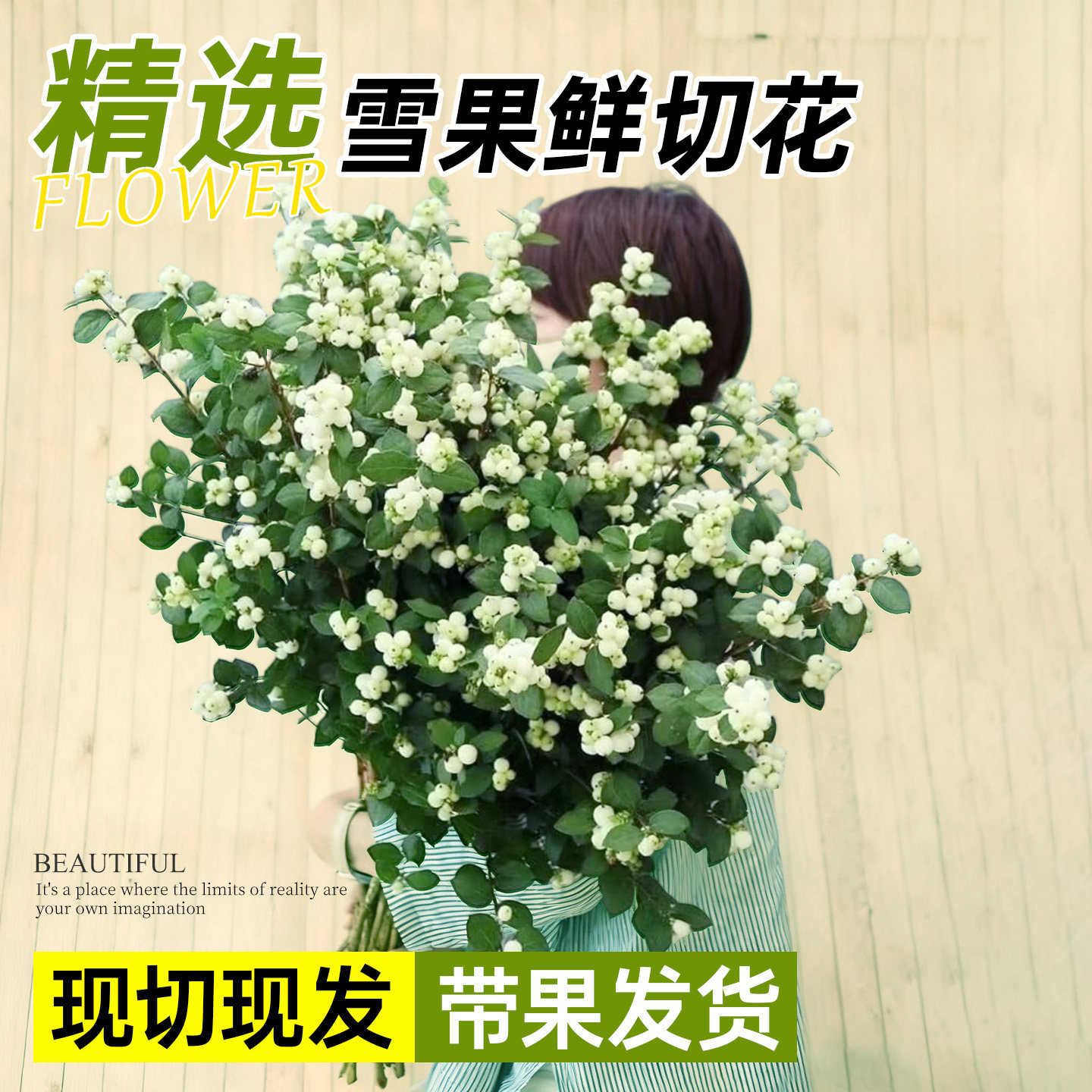 雪果鲜切鲜花客厅绿植阳台花材
