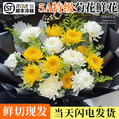 清明节菊花祭鲜花白黄菊墓前花束