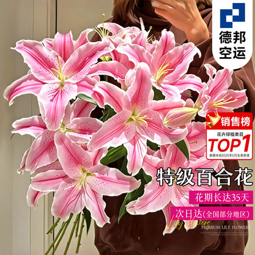 百合花鲜花云南基地直发玫瑰