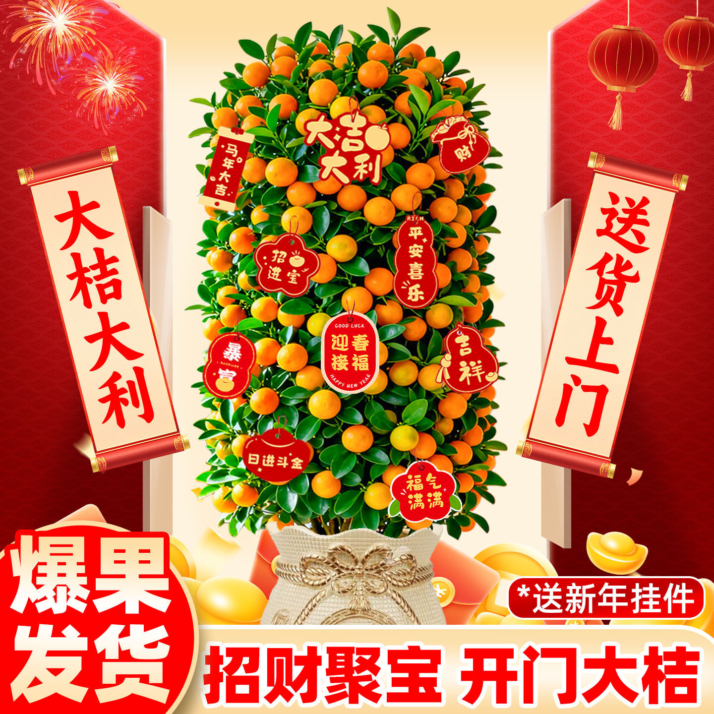 金桔树盆栽四季可食用客厅带果