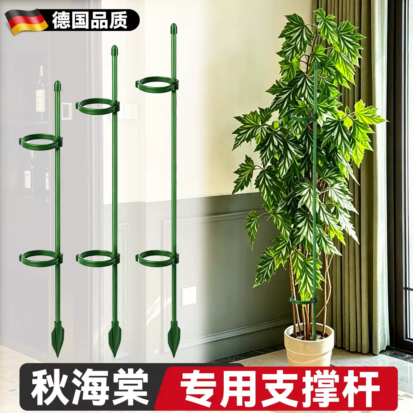 秋海棠支撑杆专用花架造型支架图片