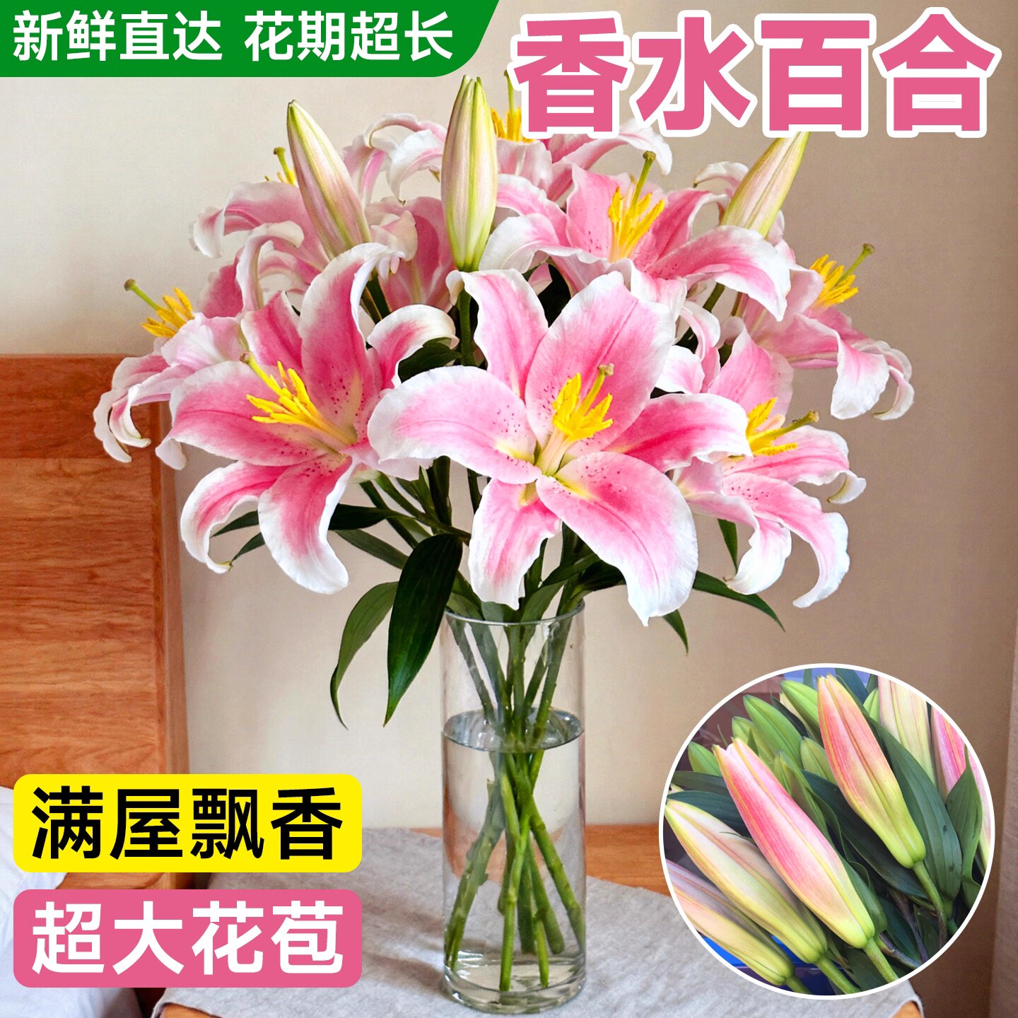 香水百合花带花苞批发新鲜花苗云图片
