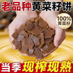 油菜籽饼肥料油枯老式油菜饼发酵有机肥种菜新鲜榨油大块钓鱼打窝