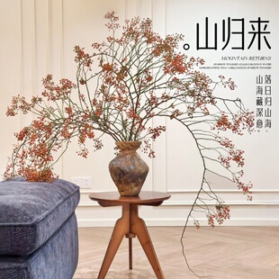 山归来蔷薇果水培植物鲜切插花干花花束南蛇藤水养桌面绿植好养活