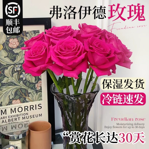 弗洛伊德玫瑰鲜花束云南昆明基地
