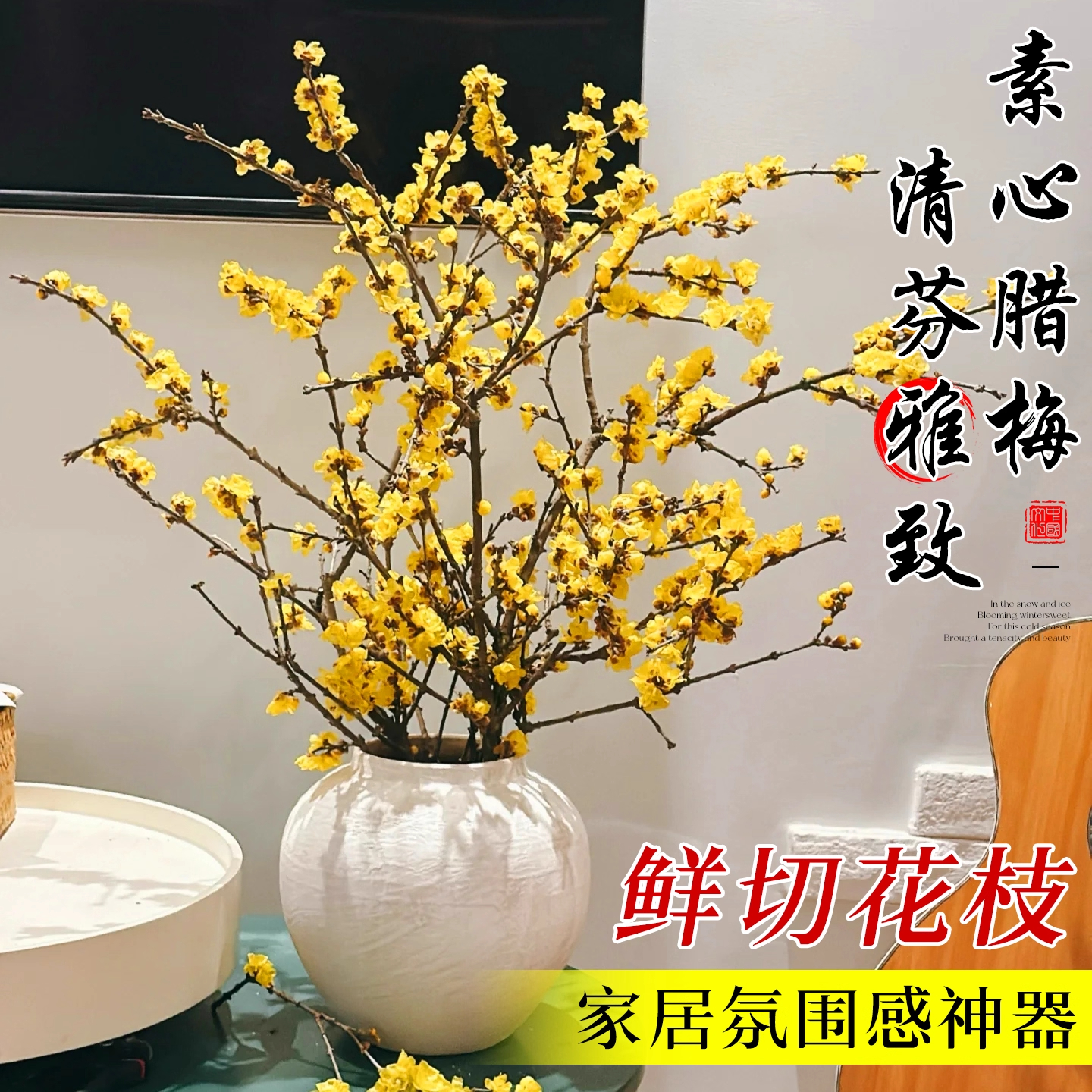 水培腊梅花鲜花鲜切花干枝支蜡梅