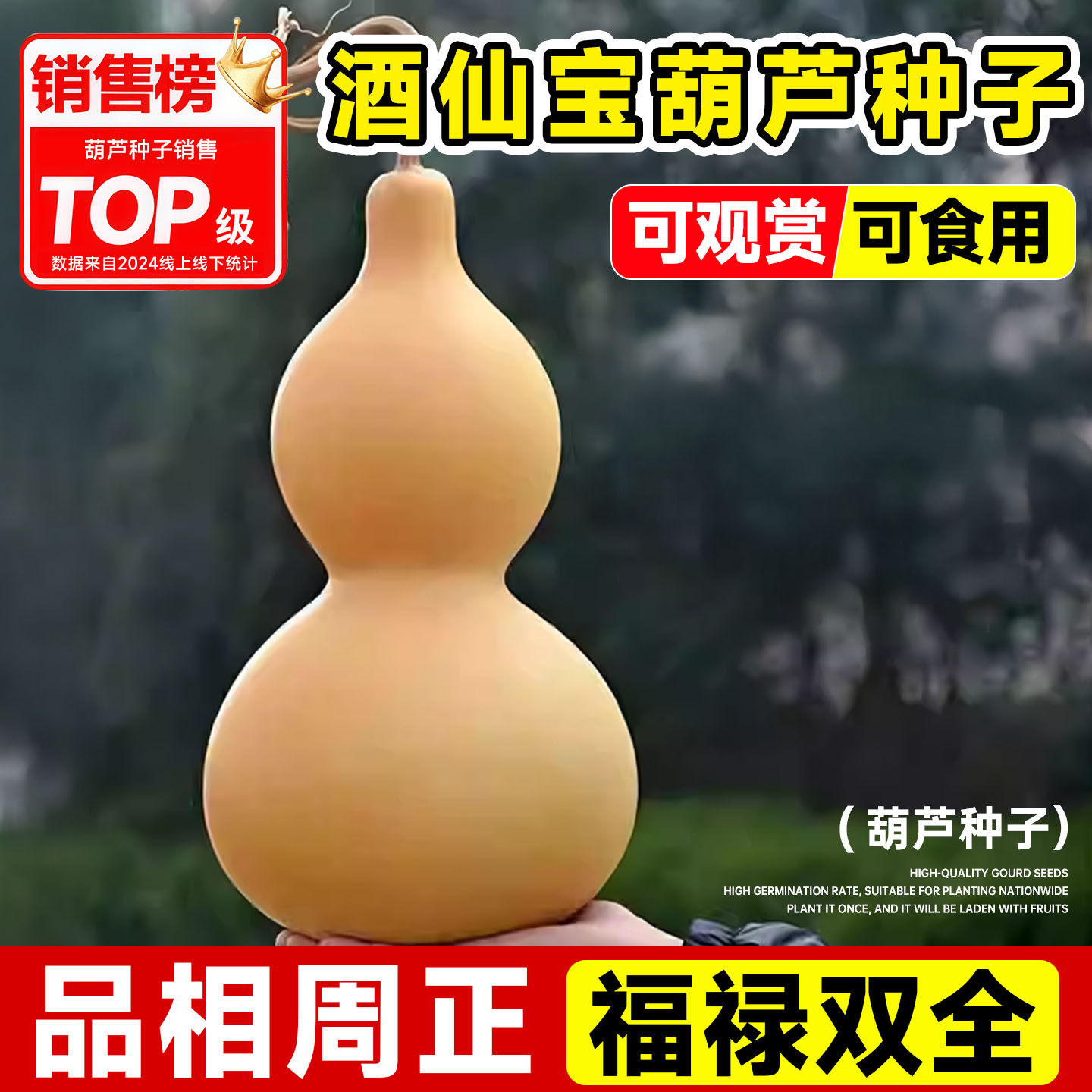 酒葫芦种子室内四季种植美观赏食用籽种品相周正长嘴八宝文玩葫芦