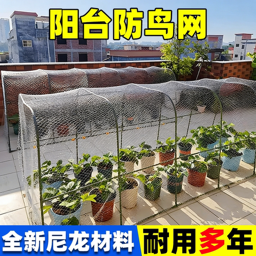 防鸟网果树果园大棚尼龙线防乌网