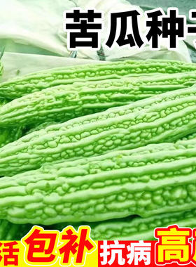 苦瓜种籽老品白苹果子大全