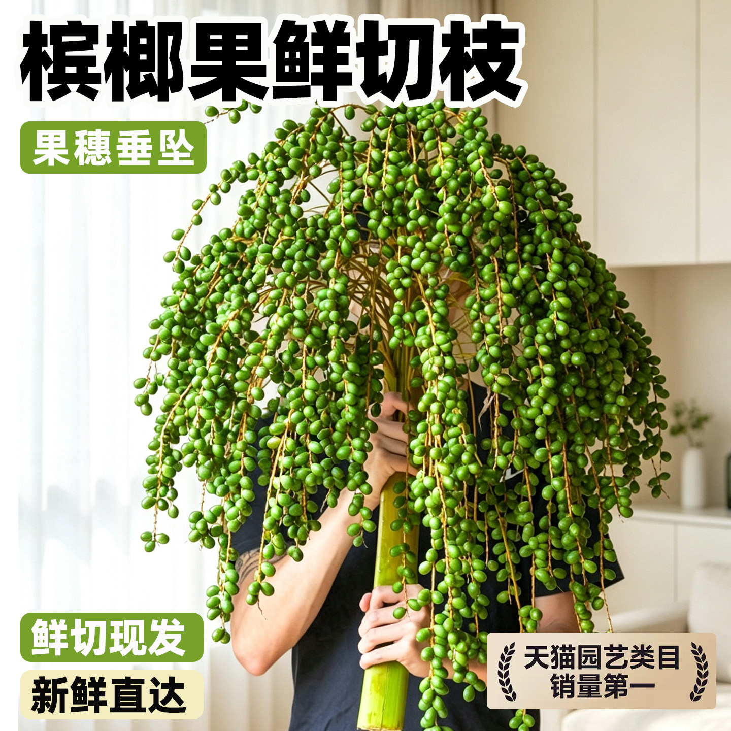 槟榔果鲜切枝条鲜切花一支基地直